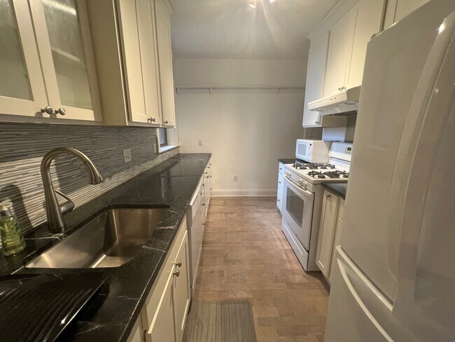 10 Jamaicaway Ct unit 23, Jamaica Plain, MA 02130 - photo 4