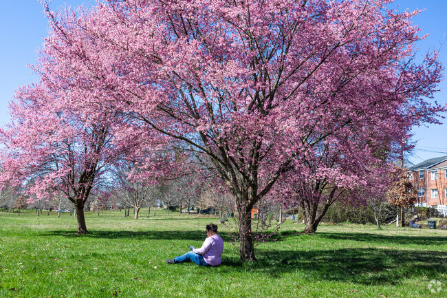 Spring brings pops of color to Chinquapin Park.