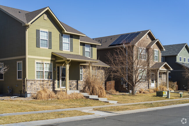 In Hazeltine, Commerce City, CO you can find rows of new homes in different shades.