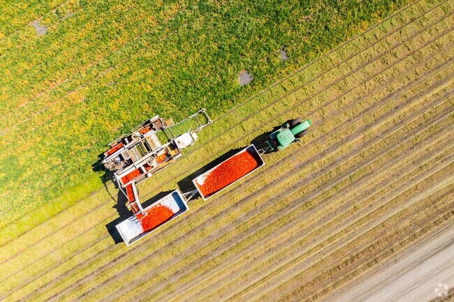 Crop harvesting near San Joaquin is a visible sign of the agriculture industry.