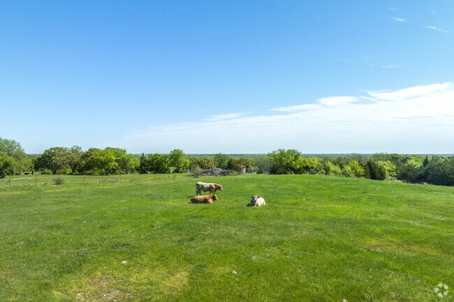 Farm land in Decatur is abundant and all kind of livestock can be found in Decatur, TX.