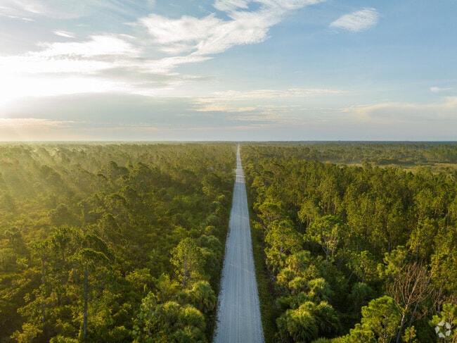 Myakka State Forest in east Englewood features long roads that stretch for miles.