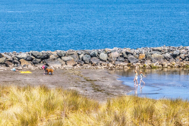 Come enjoy King Salmon Beach just north of Fields Landing.