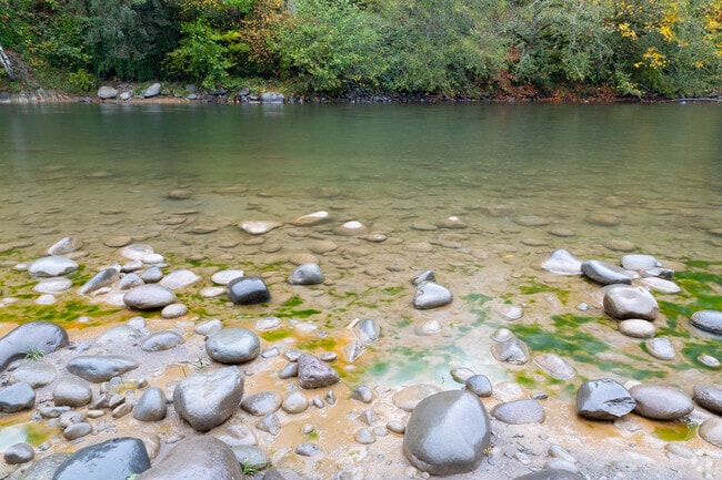 The Sandy River runs along the eastern edge of Sandy.