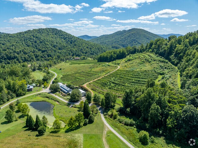 Mountain & Vine Vinyard hosts regular wine tasting events and weddings.