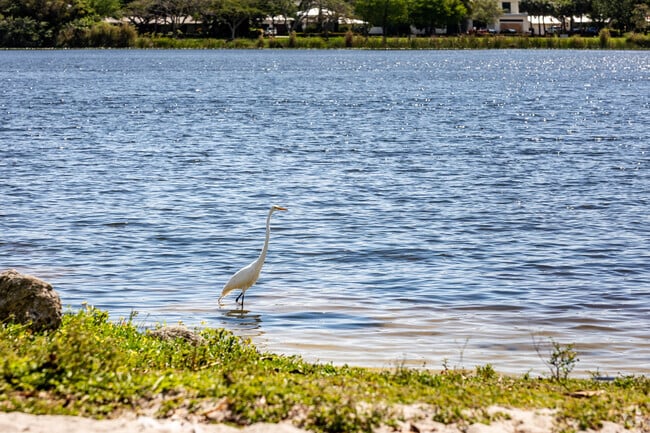 Wildlife lovers will enjoy perusing Lake Ida West Park in High Point.