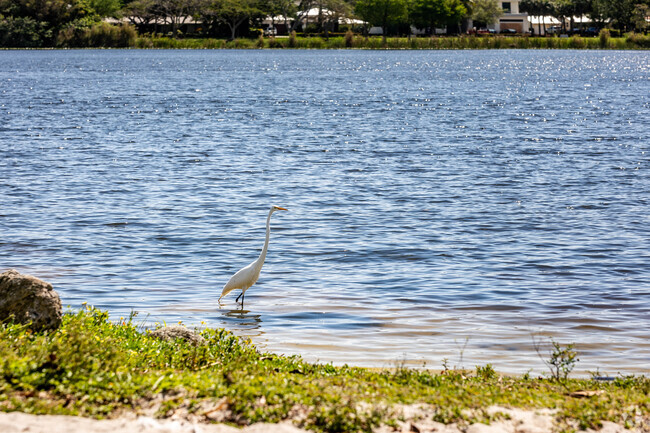 Wildlife lovers will enjoy perusing Lake Ida West Park.