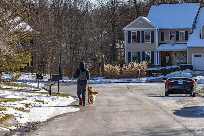 Neighborhoods in Forestville are perfect for walking your dogs
