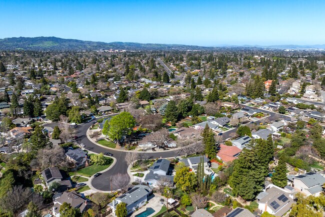 Brooktree North’s charming cul-de-sacs provide a sense of privacy and community.