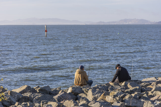 The Triangle is a short walk to the Emeryville Marina which has great fishing along the bay.