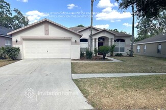 4622 Daventry Place, Valrico, FL 33596