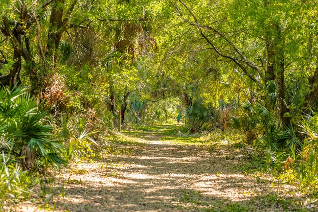 Rocky Point residents and visitors can walk or run on Pam Callahan Preserve's trails.