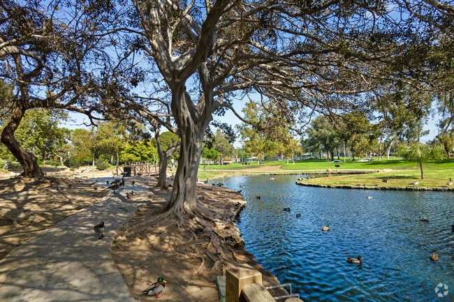 Ducks and turtles at the lake in Tewinkle Park delight visiting children.