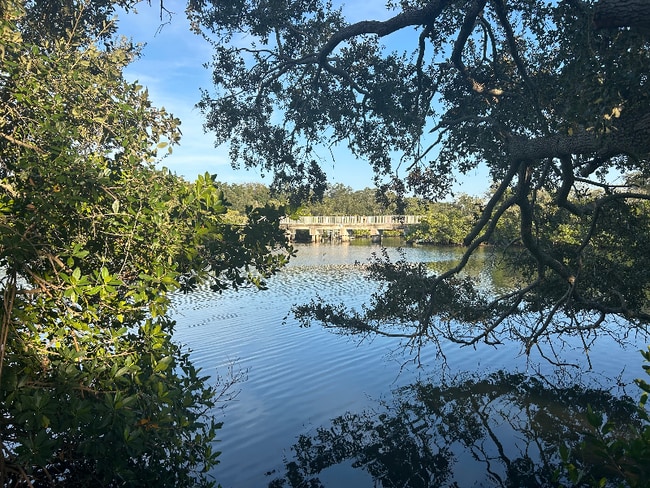 1815 Apache Trail, Clearwater, FL 33755 - photo 2