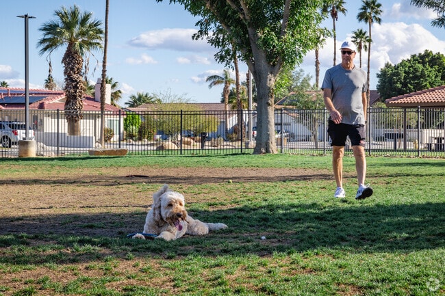 Enjoy the sunshine with your best friend at Panorama Park in Cathedral City.