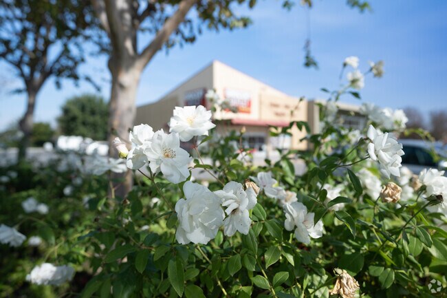 Beautiful flowers keep the curb appeal in the Brimhall Estates area