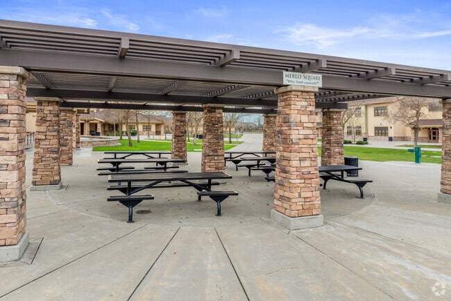 Valentine Peyton Elementary School gather together to build a bond at Outer Valley Oak.