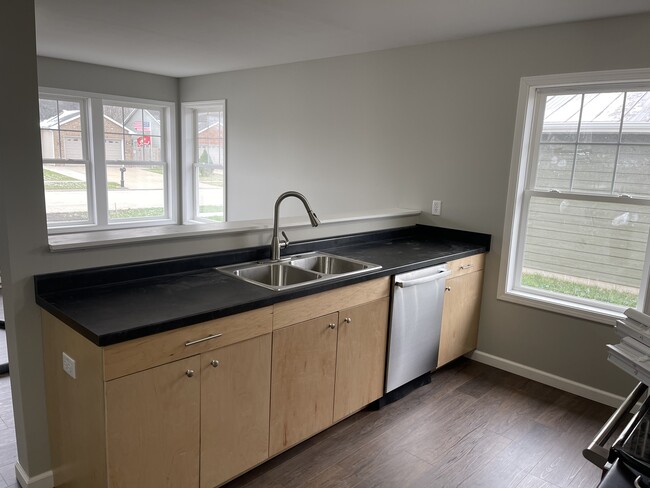 995 Madison Ave, Braidwood, IL 60408 - photo 2