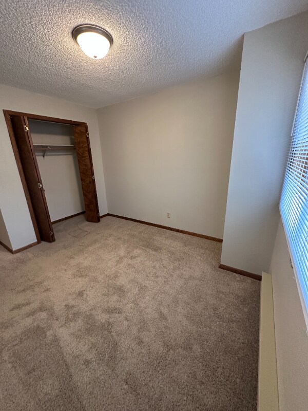 4207 E Comanche Dr, Laramie, WY 82072 - photo 6