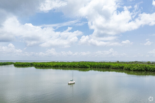 Old Tampa Bay offers scenic views and recreational opportunities in Del Oro Groves.