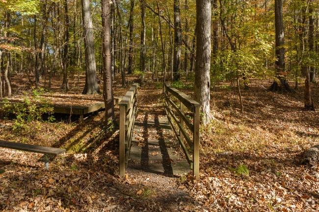 Explore nature and take a hike through the woods at Sleepy Hole Park.