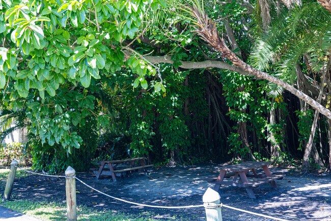 Picnic area along Chamberlain Boulevard in St. Lucie Village offers shade and quiet seating.