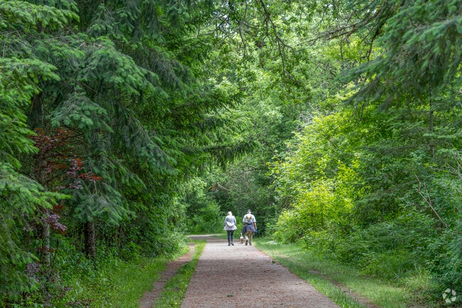 Shaded walking trails at Cook Park in Tigard.