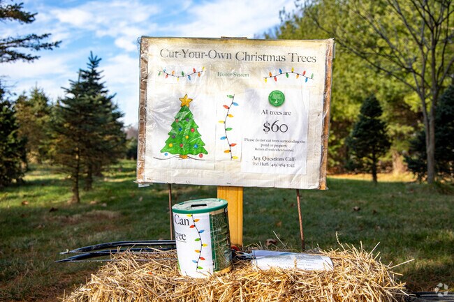 Cut down your own Christmas tree at Huff's Tree Farm.