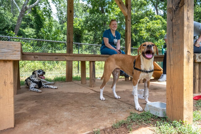 Take your dog to the Lynchburg Dog Park in Tate Springs.