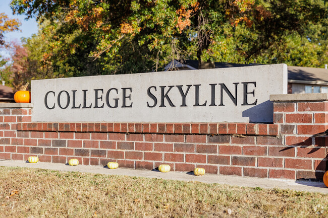College Skyline is a neighborhood tucked away in Joplin's north east corner near MSSU.