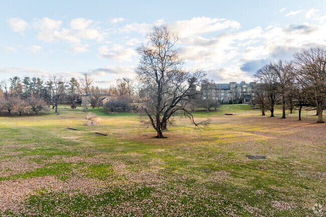 Renaissance Charter School empowers students to reach for the stars.