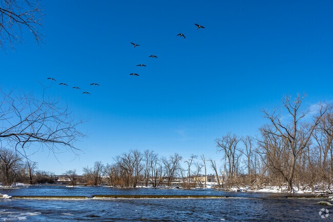 The Fox River plays a large role in the local residents lives and the all the wildlife that calls it home.