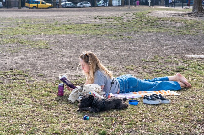 Jonquil Park is a great place to hang out with your dog while you read a book.