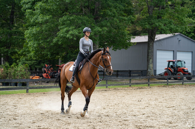 Harrubs Corner residents enjoy stopping by the Fieldstone Show Park to enjoy horse riding shows.