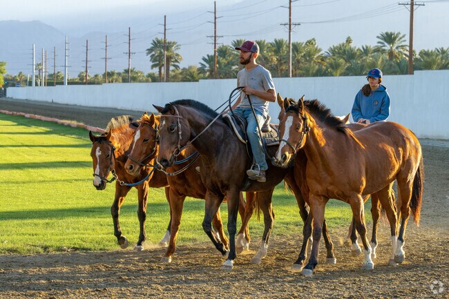 Enjoy the freedom of horseback riding on expansive grass polo fields at Empire Polo Field, a memorable adventure close to Salton City.