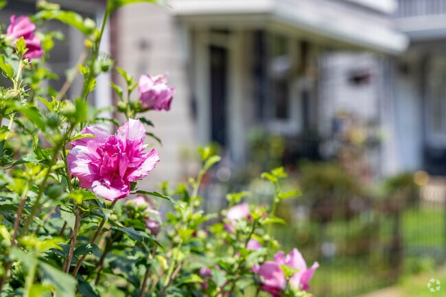 South Cumminsville has beauty around all corners.