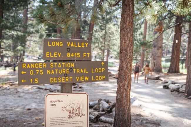 Hike the mountain trails around Mt. San Jacinto near Mountain Gate.