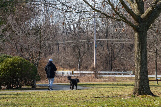 Take the dogs for a walk on a nice day in Paper Mill Park.