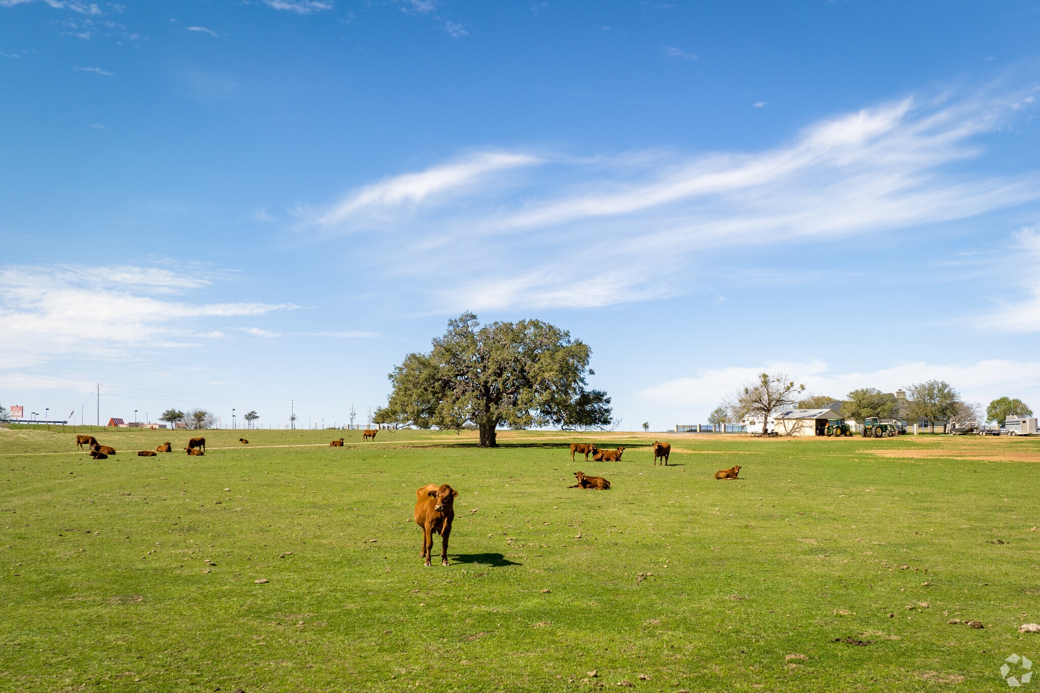 La Vernia just 30 minutes East of downtown San Antonio.