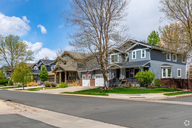 Rows of craftsman homes line the streets of Westchase.