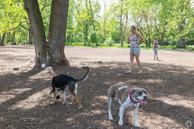 Fuller Park in Midtown Grand Rapids has a popular dog park full of furry friends.