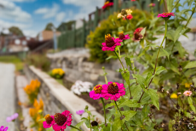 Take a trip around Braddock Hills to see what you are missing.