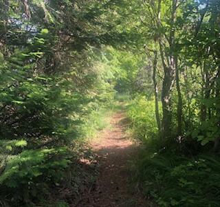 Hiking trails