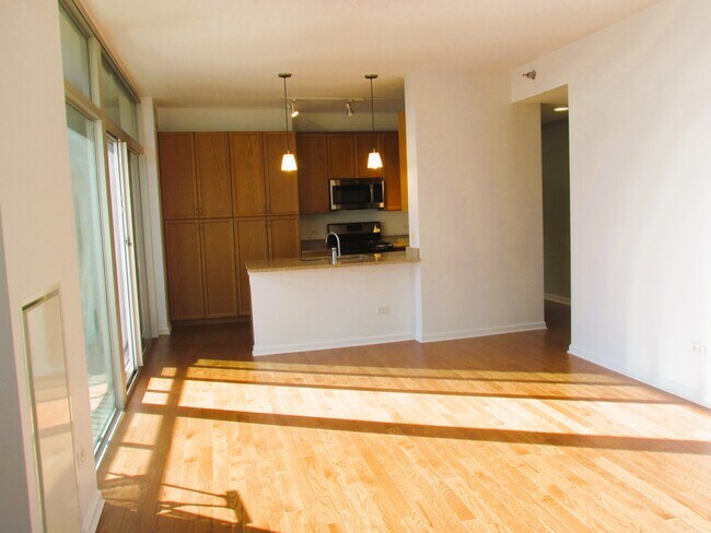 Michigan 1400 unit 1204, Chicago, IL 60605 - photo 7