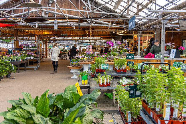 Mahoney's Garden Center is a local favorite for plants, garden supplies, and more in Winchester.