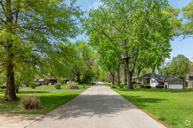One hundred foot Oak trees line the streets of the Oak Park neighborhood.