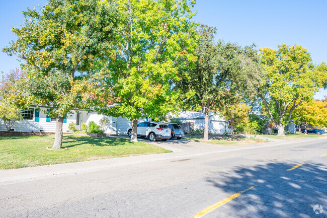 Large trees provide plenty of shade in Merrihill.
