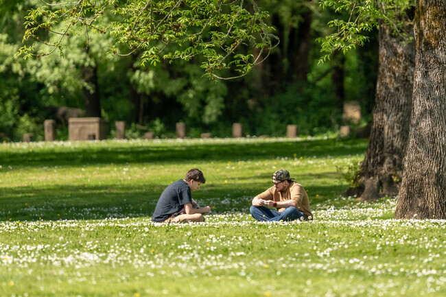 Visitors can relax under the shade of the many trees at Bryant Park in Albany, Oregon.