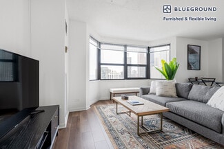 1133 N Dearborn St Unit FL33-ID207, Chicago, IL 60610