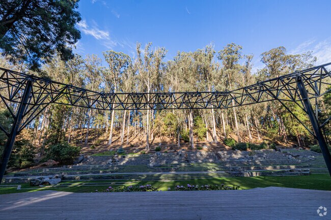 Experience cultural delights at the iconic Stern Grove Amphitheatre.